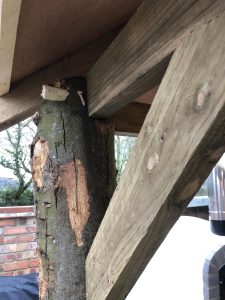 garden buildings fitted around norfolk